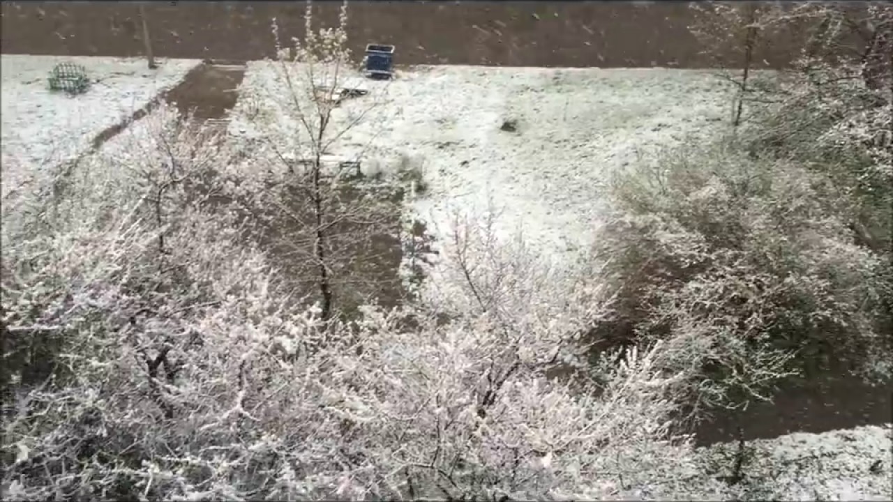 харьков апрель