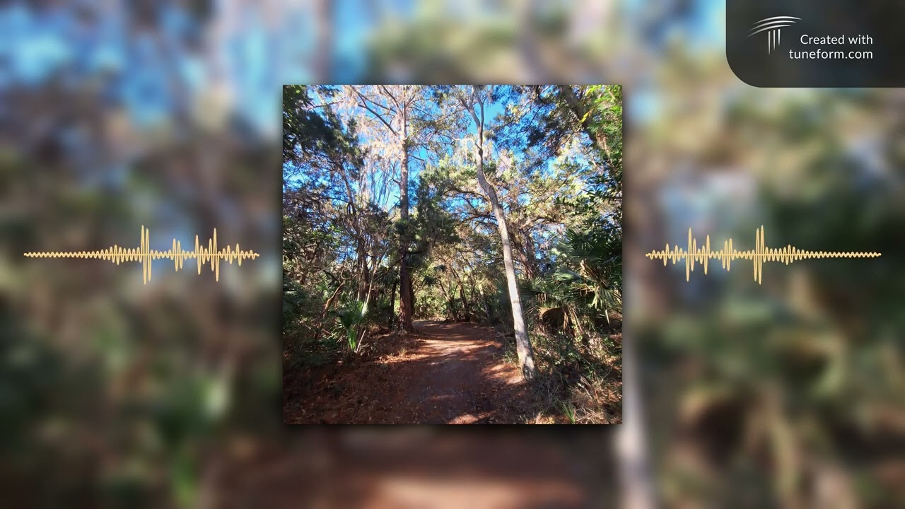 A somber Shady Grove rendition