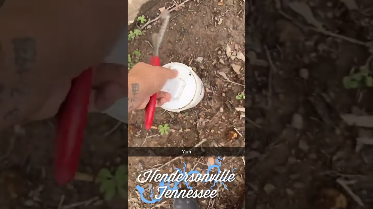 How do you know if your sewer line is clogged? 