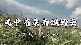 亮声open - 风中有朵雨做的云『梦中飘落雨湿了身，孤独向心里问，问天可曾看得到 街上这一个人。』『动态歌词MV』