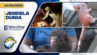 JENDELA DUNIA - La Biennale Ke 61,Taman Khusus Kucing di Singapura, Upaya Penyelamatan Bonobo