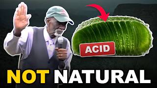 The Truth About Aloe Vera: Dr. Sebi Tried To Warn You
