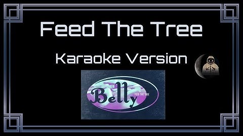Thumbnail of Belly - Feed The Tree [CC] [Karaoke Instrumental]