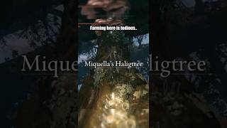 This Is The Worst Location To Farm A Weapon (NG+2) #eldenring