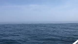 Offshore fog line - Hudson Canyon, offshore New York