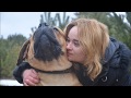 Южноафриканский бурбуль Тоша - охранная собака в социуме