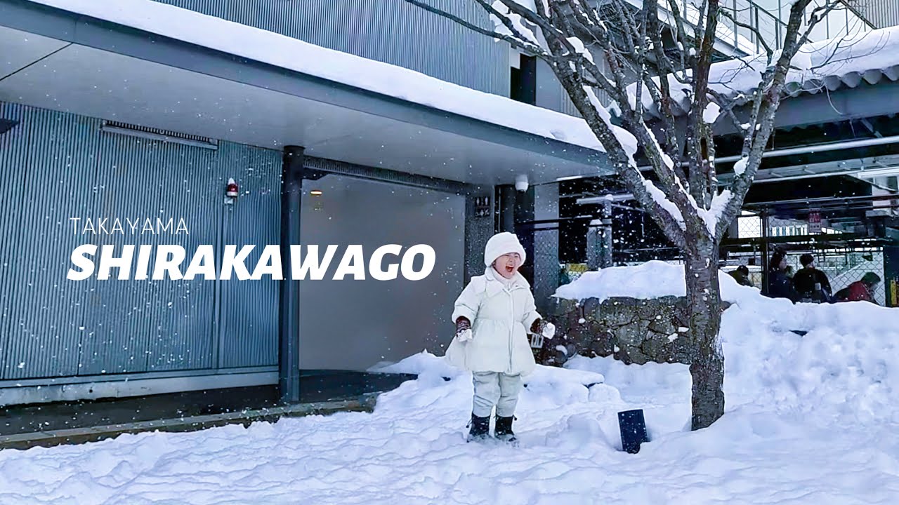 Salju di Takayama dan Shirakawago | Gak nyangka salju tebel banget | bulan Februari 2025