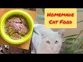 How to make cat food at home|Homemade cat food|