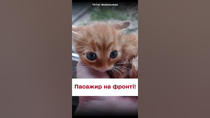 😻 ЗСУ прихистили не лише лисичку! ОЦЕ милота!