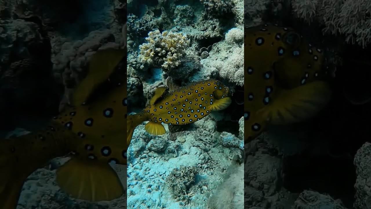 nice day ☀️😁🧜‍♀️ 