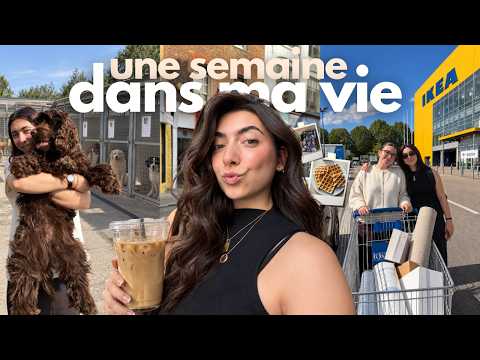 JE VOUS EMMÈNE DANS MA NOUVELLE VIE 🥹 (travail, bénévole SPA, influence, projets...)