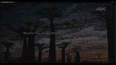 Playing video in Windows Terminal with colors and ascii (ConPlayer)