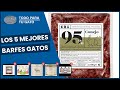 Los 5 mejores barfes gatos