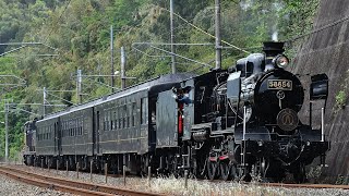 JR九州8620形58654号機牽引SL人吉　鳥栖行き　鹿児島本線崇城大学前〜西里　汽笛吹鳴あり