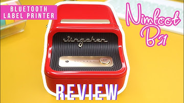 NIIMBOT B21 BLUETOOTH THERMAL LABEL PRINTER REVIEW AND TUTORIAL 2021