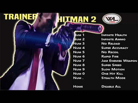 How Use A Trainer For Hitman Blood Money ??