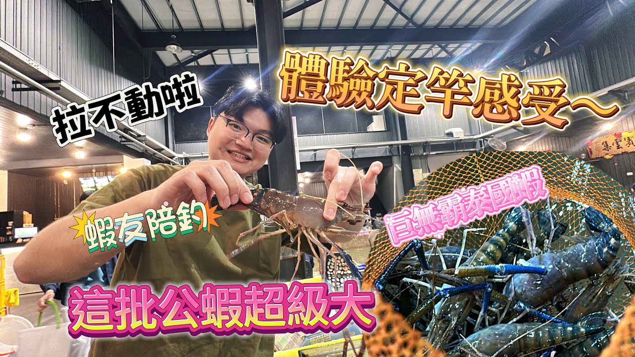 釣了一隻快比手還粗的公蝦 定竿拉不動! 酒桶波釣公蝦訊號#目視度超高阿波#釣蝦#熱門#fishingshrimp#台湾のエビ釣り#台湾の有名な釣具#酒桶波#釣蝦阿波#紅蟳王釣蝦場