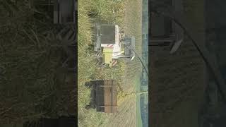 Claas Jaguar 685 silaža
