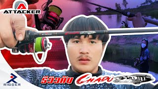 รีวิวคันชะโด CHADO คันตีเหยื่อปลอมจาก ATTACKER | อุปกรณ์ตกปลา RIGGER