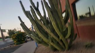 Abandoned Applebees in Tempe, Arizona