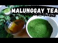 How to make Malunggay Tea (powder) || TutorialTube PH