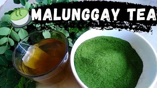 How to make Malunggay Tea (powder) || TutorialTube PH