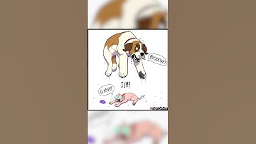 Pixie & Brutus: Jump