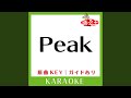 Peak (カラオケ) (原曲歌手:KAT-TUN)