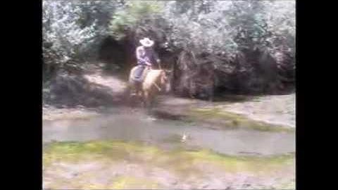 Eyed Watch Me T6 SOLD!