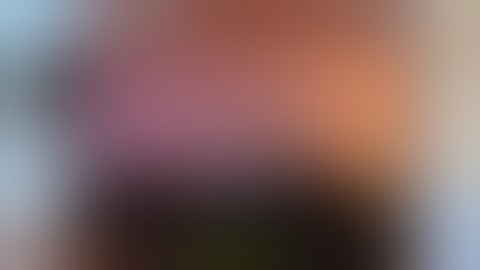 Raspberry Peach Lime Geek Bar Pulse X Review