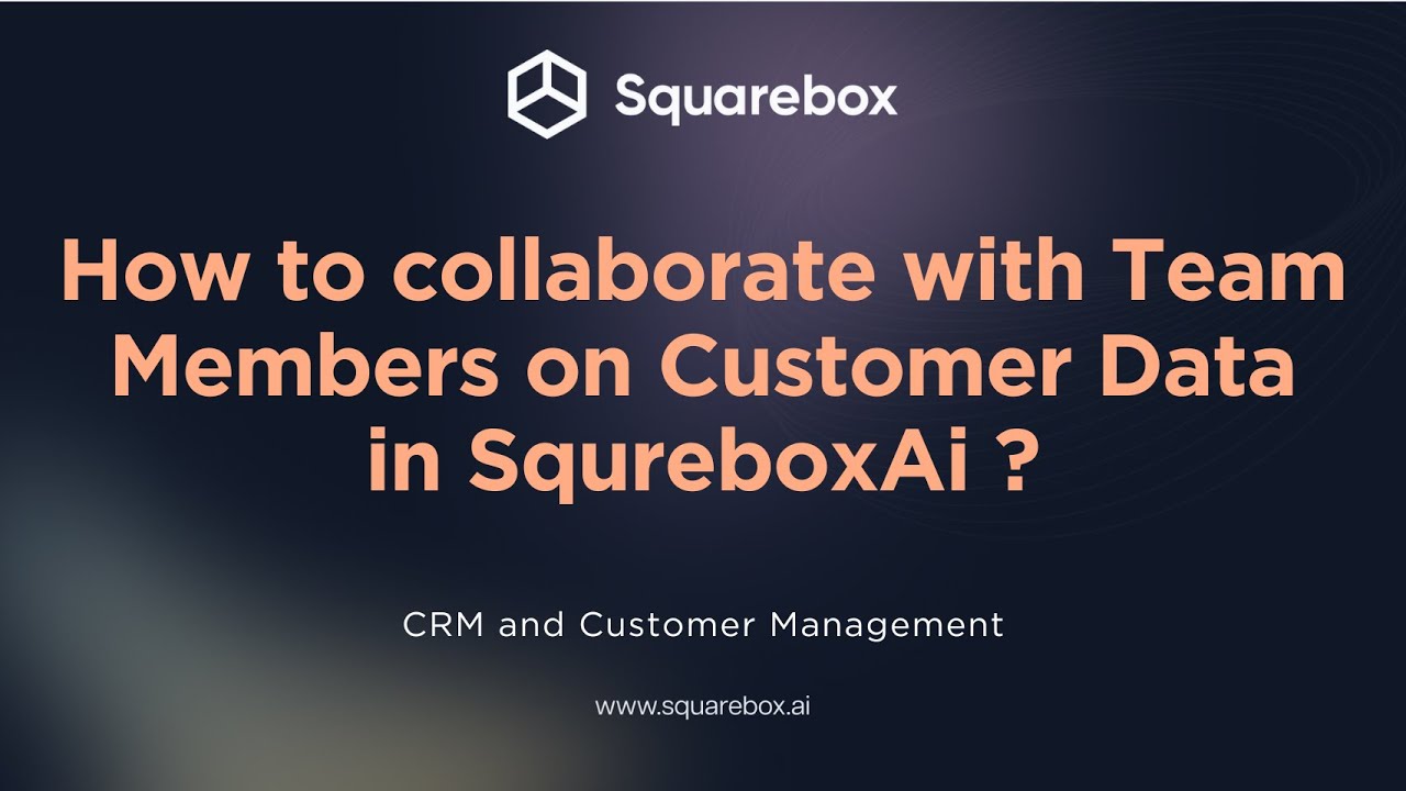 How to collaborate with Team Members on Customer Data in Squarebox.AI?