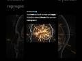Your brain isn’t built to make you happy — it’s built to detect threats