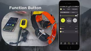 E-Collar Function Button | Dogtra PATHFINDER2 GPS Dog Tracking and Training System screenshot 4