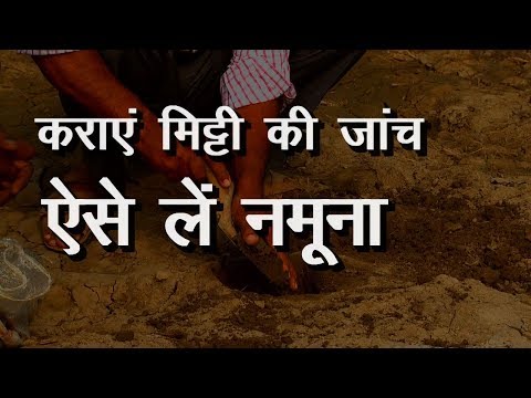 वीडियो: मैं अपनी मिट्टी का परीक्षण कैसे कर सकता हूं?