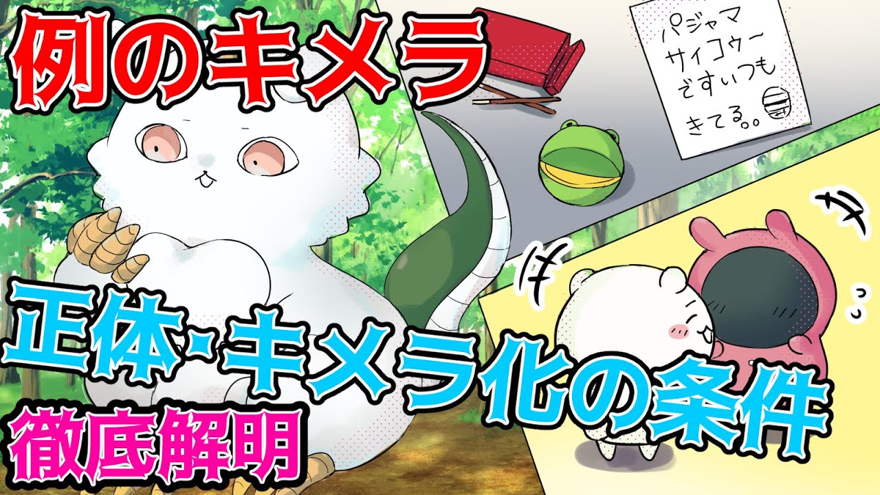 ちいかわ考察 優しいキメラの正体はちいかわの同僚 キメラ化の条件を解説 ナガノワールドまとめ Youtube