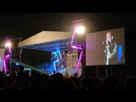 2019年跨年 屏東千禧公園911(1)
