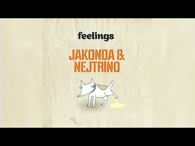 Jakonda & Nejtrino - Feelings