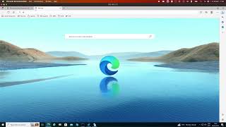 Microsoft Edge / Chromium Header Trace