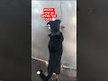 HE WANTS TO OPEN THE GATE🤣🤣