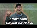 5 More Linux Terminal Commands for Beginners