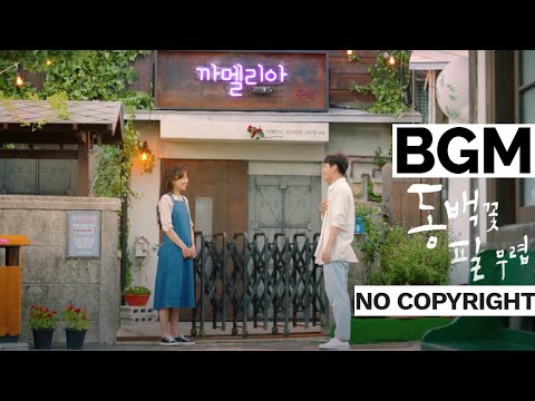 [BGM] 동백꽃 필 무렵을 보고 만든 피아노브금 | HYP-Camellia(동백꽃)