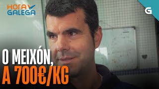 O MEIXÓN, a 700€/KG | HORA GALEGA