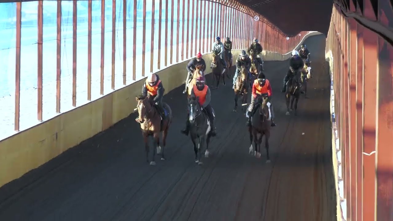 セイリングホーム2024　2026年2月