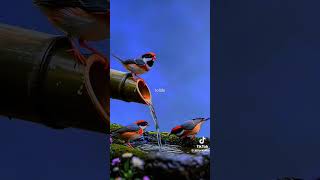 Love me like you do/Erikmaycon/