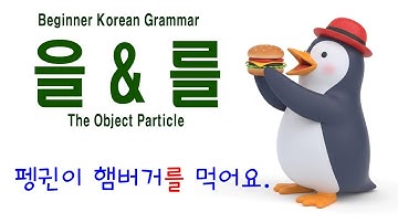 Korean Grammar for Beginners (3-1) Object Particle 을 & 를,  을, 를,