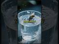 What to do when a fly falls into your drink#hadith#islam#science#sciencefacts#factshorts #viral