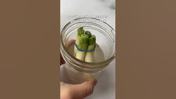 How to regrow green onions #recipe #kitchenhack #gardening #easyrecipe