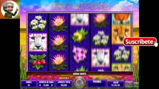 CAT PAWS,   trucos tips secretos casino tragaperras slot game PERDI $1,900,000