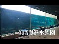 【水族館巡り】神戸市立須磨海浜水族園　本館編　/Suma Aqualife Park KOBE