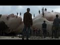 The Discovery Of A Giant S Carcass Turns It Into A Tourist Attraction 